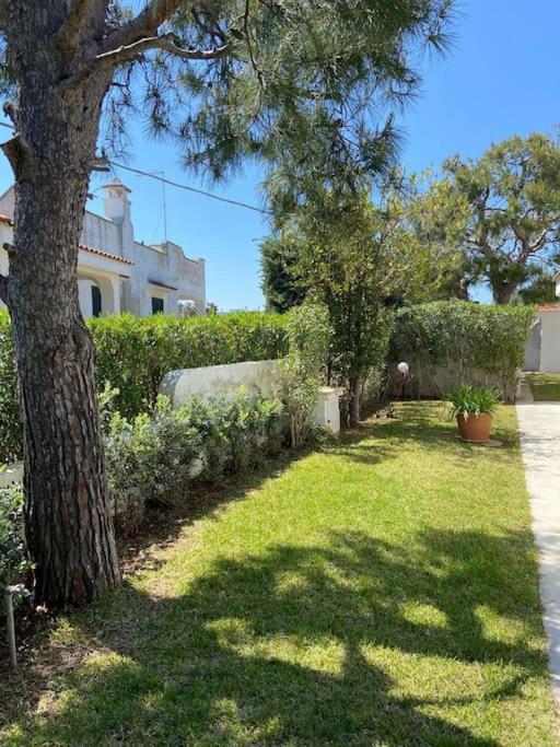 Villa A Marina Di Ostuni Exterior photo